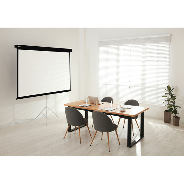 Экран Cactus CS-PSW-149X265-BK