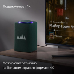 Умная колонка Яндекс Станция Макс с Алисой и Zigbee (YNDX-00053Z) зеленый