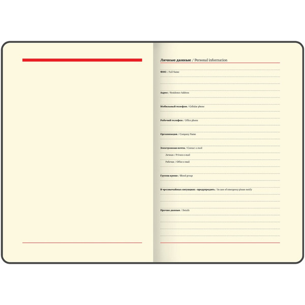 Еженедельник недатированный BRAUBERG Iguana 114477