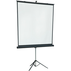 Экран Lumien LMV-100105