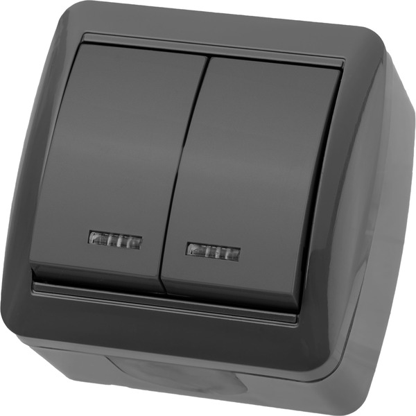 Выключатель TDM Селигер SQ1818-0104