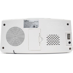 Радио-часы MIRU СR-1009