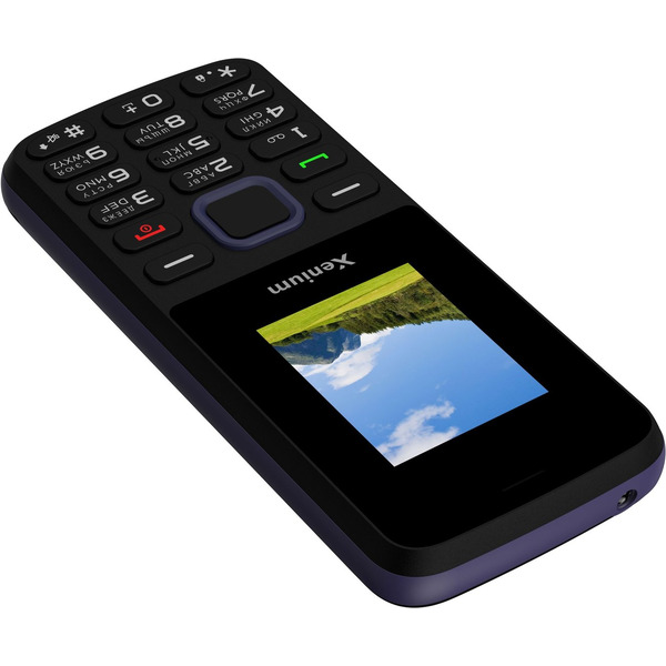 Мобильный телефон Xenium L170 (черный)