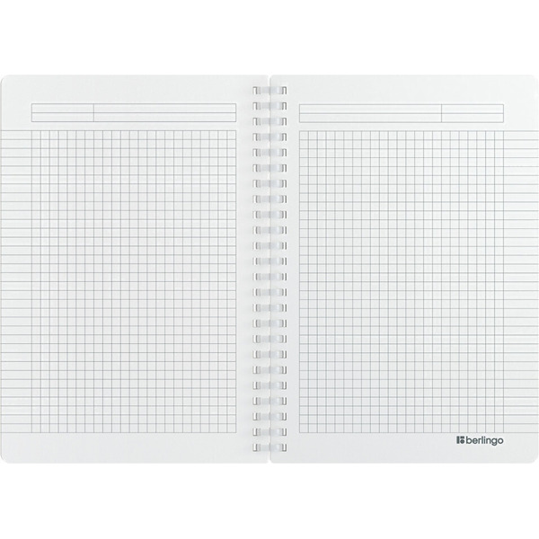 Тетрадь Berlingo Soft Touch Pro / SRn_A5932 (80л, синий)
