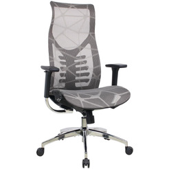 Кресло компьютерное EVOLUTION FISHBONES PRO Grey