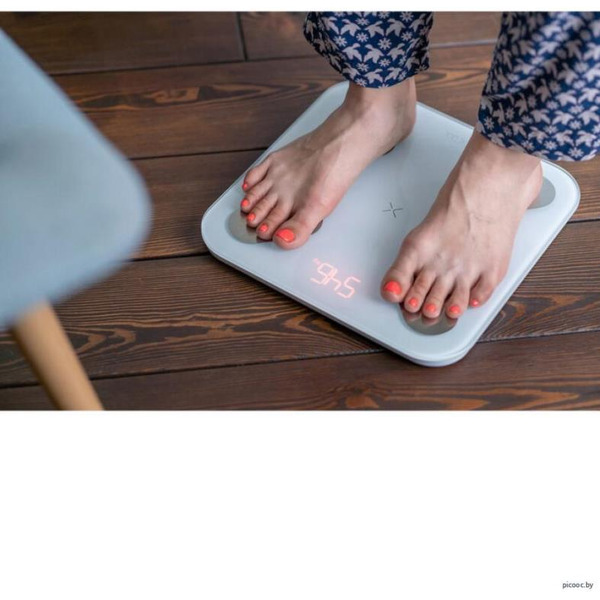 Напольные весы Picooc Mini Pro V2