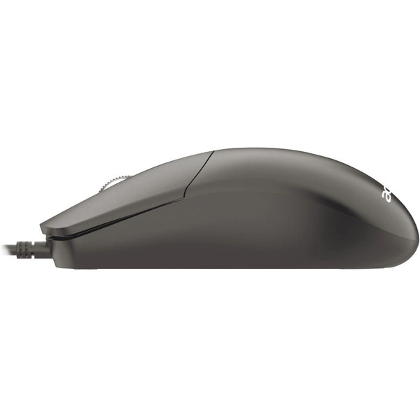 Мышь Acer OMW300 (ZL.MCECC.01W) черный