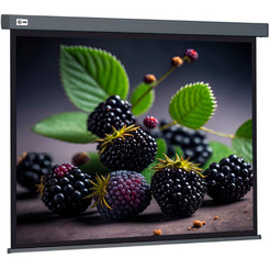 Экран CACTUS Wallscreen CS-PSW-127X127-SG