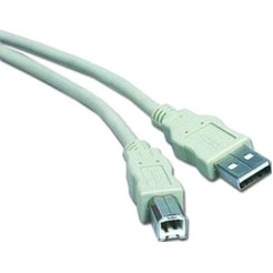 Кабель Gembird CC-USB2-AMBM-10