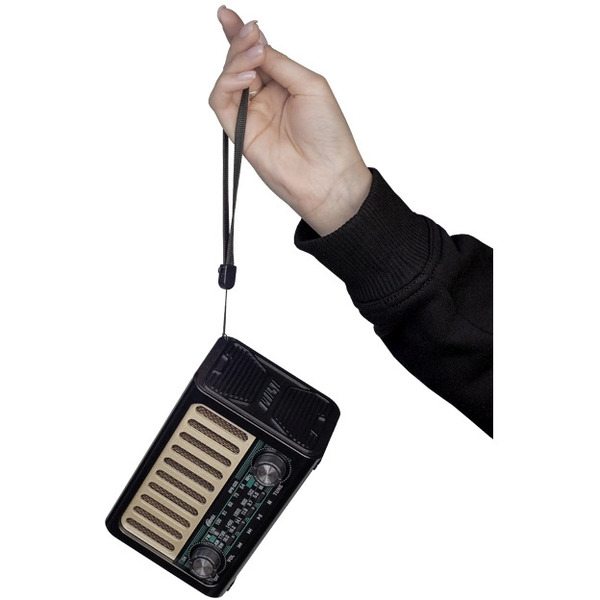 Радиоприемник Ritmix RPR-020