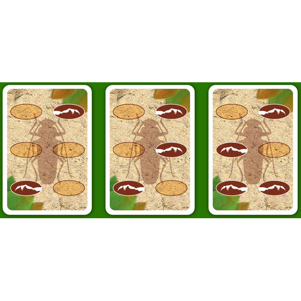 Настольная игра Правильные игры Гонки Жуков 33-01-01