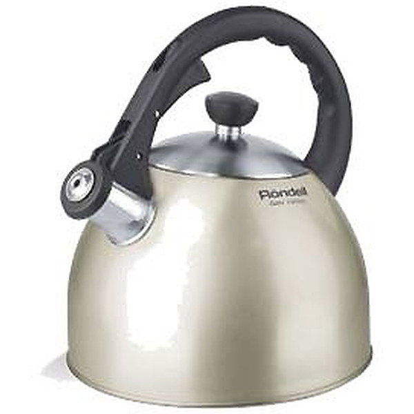 Чайник RONDELL RDS-100