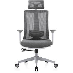 Кресло компьютерное EVOLUTION ERGO BLISS Grey