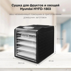 Сушка для фруктов и овощей Hyundai HYFD-1803 черный
