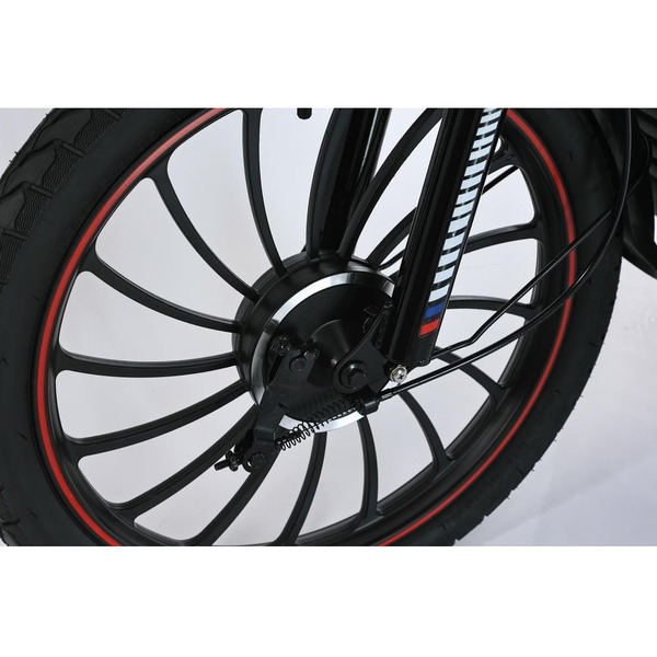 Электровелосипед SmartBalance Fiesta Pro