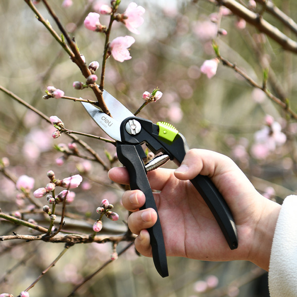 Секатор Deli EDL580101