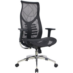 Кресло компьютерное EVOLUTION FISHBONES PRO Black