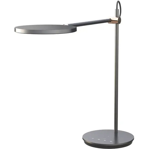 Настольная лампа Yeelight Reading and Writing Desk Lamp (черный)