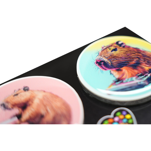 Набор сувенирных магнитов "Дай пять добру" Капибара (4 шт.)