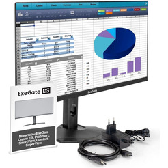 Монитор ExeGate ProSmart EH2407CA EX299034RUS