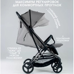 Прогулочная коляска Bubago Axi (серый)