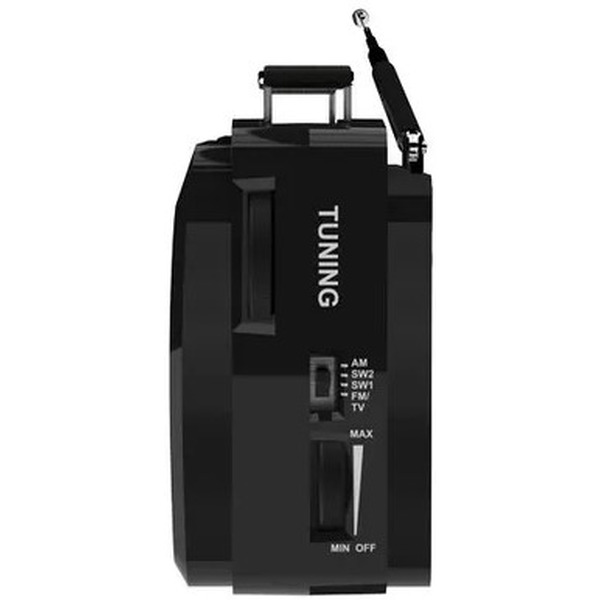 Радиоприемник RITMIX RPR-190