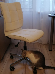 Кресло Бюрократ CH-330M (молочный Velvet 20)