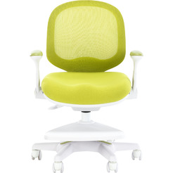 Кресло детское Everprof Kids 102 (зеленый)