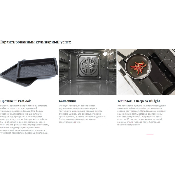 Кухонная плита Hansa FCCW56069