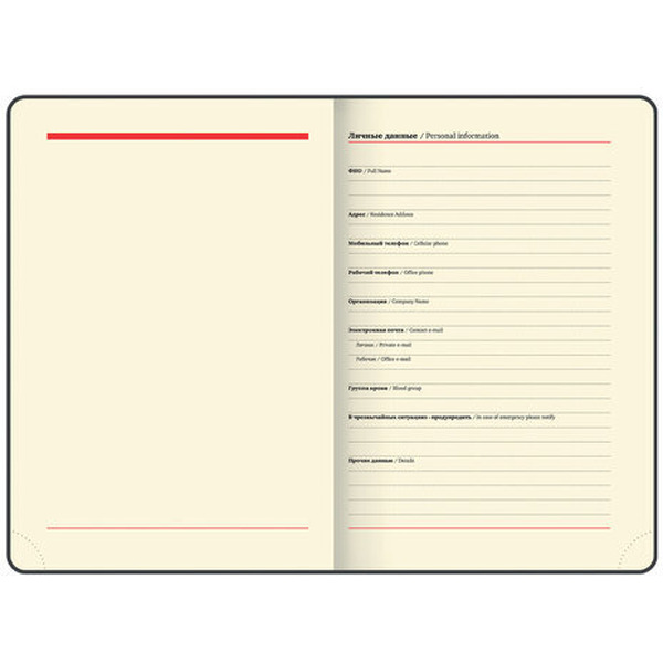 Ежедневник BRAUBERG недатированный Iguana 114456 (лиловый)