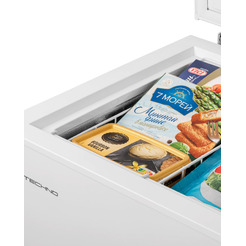 Морозильный ларь TECHNO BD1-200