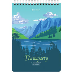 Блокнот BRAUBERG 114373 (4 шт)