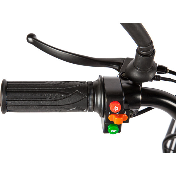 Велогибрид Eltreco E-Alfa (графит)