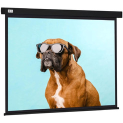 Экран Cactus CS-PSW-183X244-BK