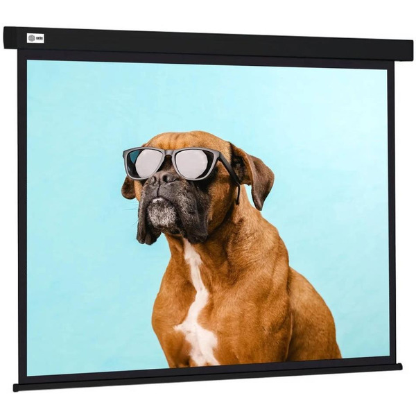 Экран Cactus CS-PSW-183X244-BK