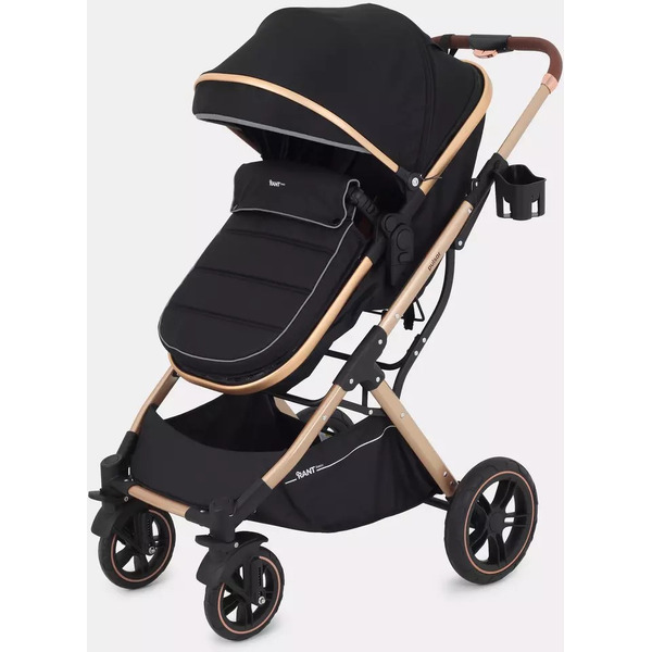 Детская универсальная коляска Rant Basic Pulsar Gold 2 в 1 RA160 (черный)