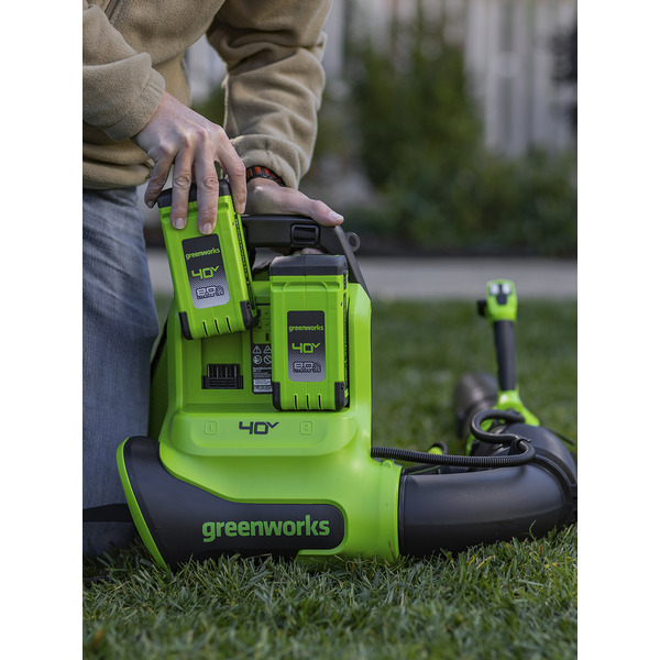 Воздуходувка Greenworks GD40BPG2 2408107 (без АКБ и ЗУ)