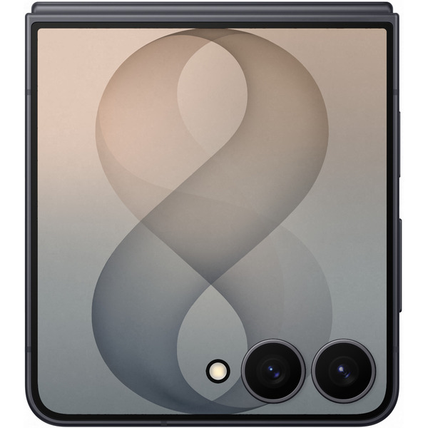 Смартфон Samsung Galaxy Z Flip8 SM-F776 12GB/256GB (графитовый)