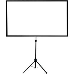 Экран CACTUS X-type CS-PSTX-112X199