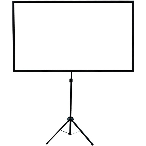 Экран CACTUS X-type CS-PSTX-112X199