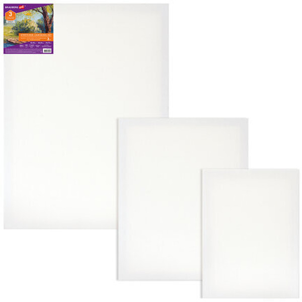 Холст для рисования BRAUBERG Art Debut 192270 (3шт)