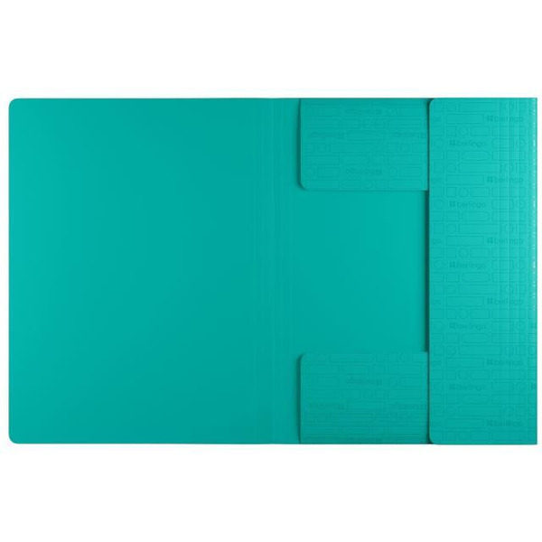 Папка на резинке Berlingo "Your Way" FB4_A4893