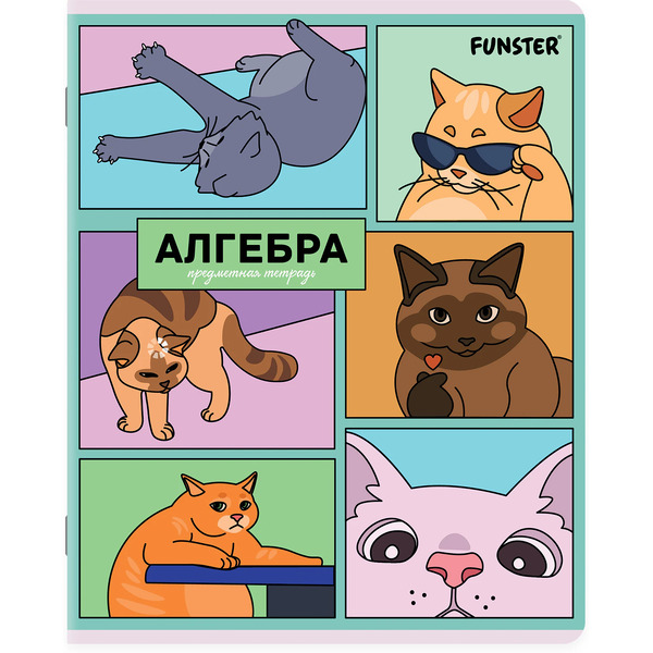 Тетради предметные Funster Мемные коты 405604 (12 шт)