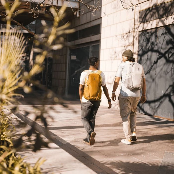 Рюкзак для ноутбука Thule EnRoute 23L TEBP4216NO (оранжевый)