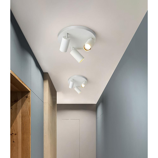 Светильник настенно-потолочный Feron ML203-1 41923