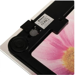 Напольные весы Sakura SA-5072GW (герберы)