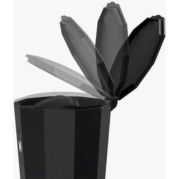 Кофемолка Miru KACG01