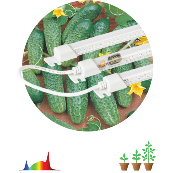 Фитосветильник ЭРА FITO-3х10W-LINE-Ra90