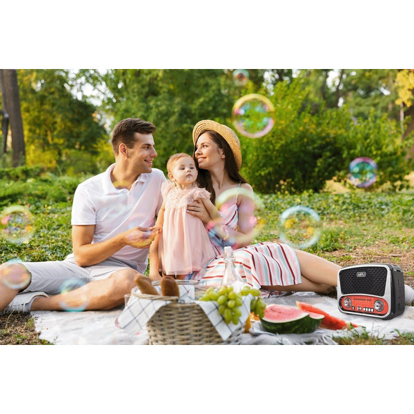 Радиоприемник Miru SR-1019