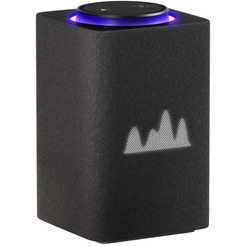 Умная колонка Яндекс Станция Макс с Алисой и Zigbee (YNDX-00053K) графит